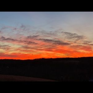 Meet your Posher, Teri